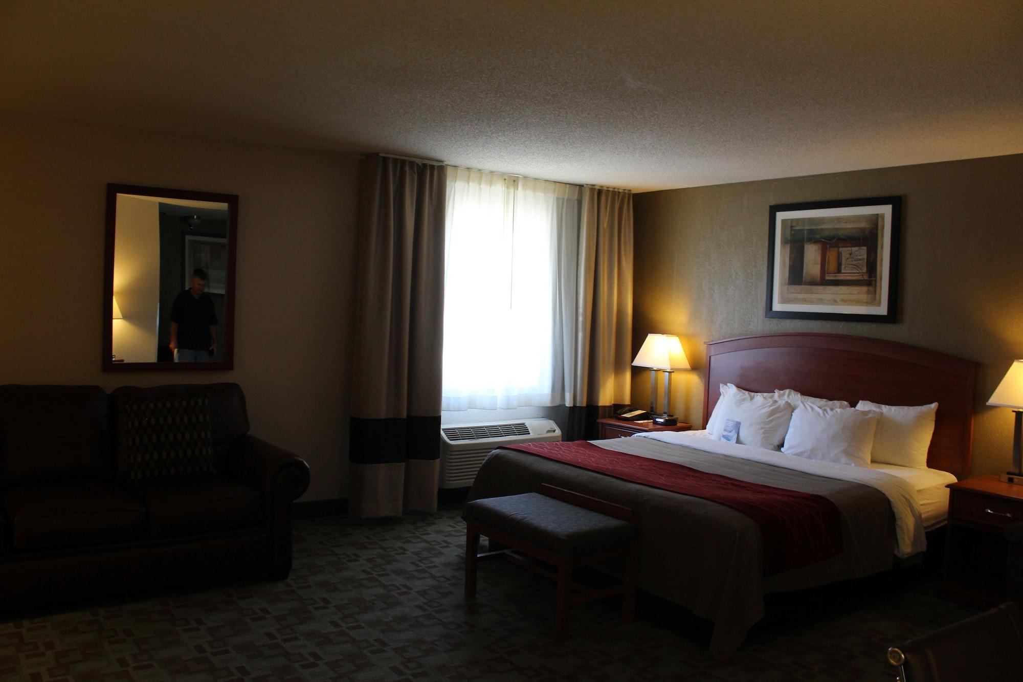 Comfort Inn הסטינגס מראה חיצוני תמונה