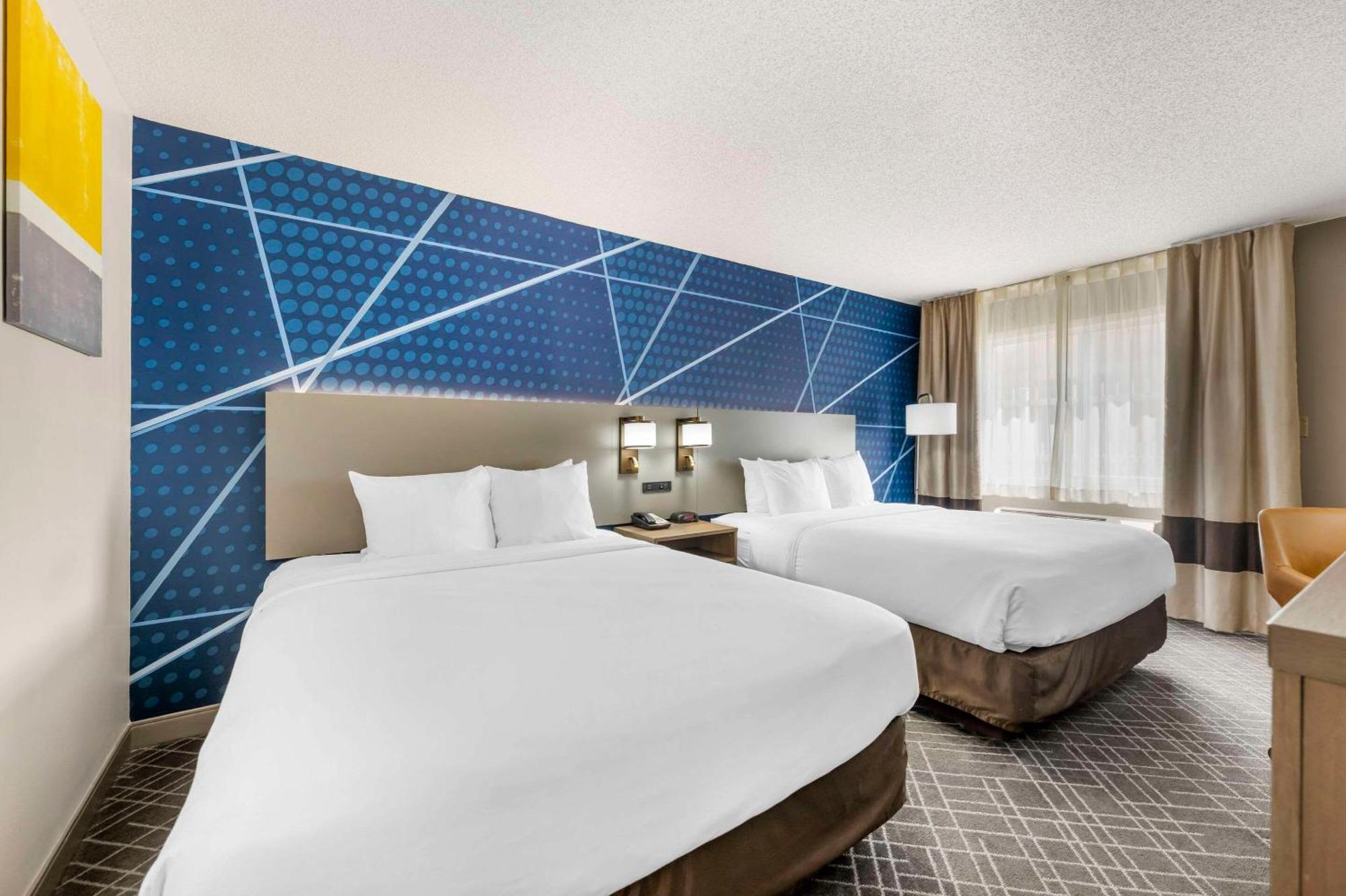 Comfort Inn הסטינגס מראה חיצוני תמונה