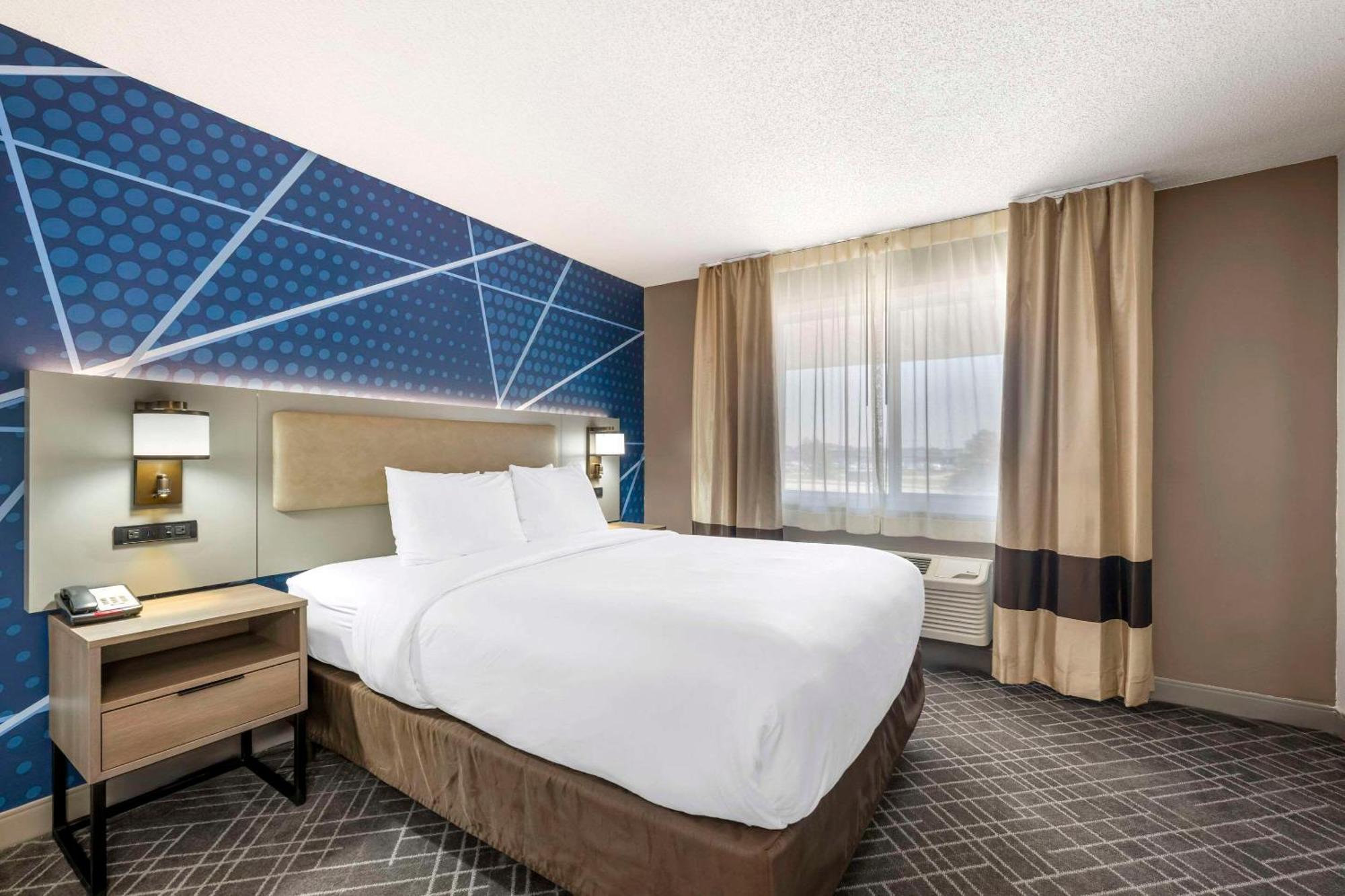 Comfort Inn הסטינגס מראה חיצוני תמונה